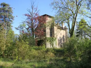 Château de Charmes-sur-l'Herbasse