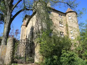 Charmes-sur-l'Herbasse Kasteel