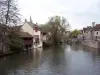 Rives of the Eure to Chartres (© J.E)