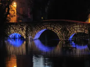 Chartres in Lights