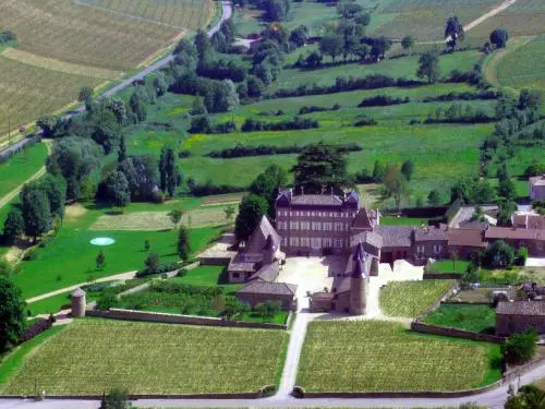 Schloss von Chasselas - Monument in Chasselas