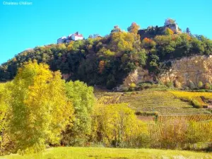 Château-Chalon