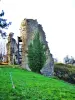 Ruines des tours Nord-Est de l'ancien château (© Jean Espirat)