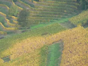 Château-Chalon (© Frantz)