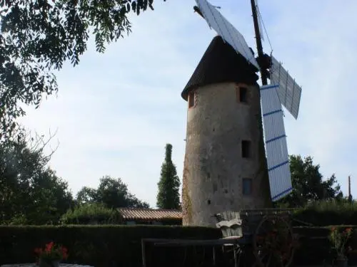 Châteauneuf - Guida turismo, vacanze e weekend nella Vandea