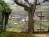 Châteauneuf-en-Auxois - Vista dalla croce