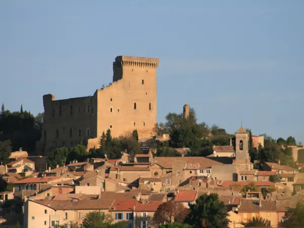 Castle of the Papes - Monument in Châteauneuf-du-Pape