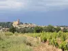 Châteauneuf-du-Pape - Guia de Turismo, férias & final de semana na Valclusa