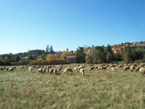 Châteauneuf-Val-Saint-Donat - Führer für Tourismus, Urlaub & Wochenende in den Alpes-de-Haute-Provence