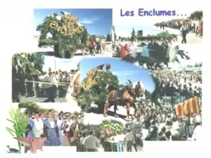 Fête de la St Omer