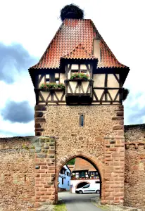 Tour des Sorcières, vue du jardin médiéval (© J.E)