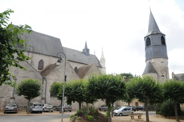 Iglesia Saint-Pierre - Monumento en Châtillon-Coligny