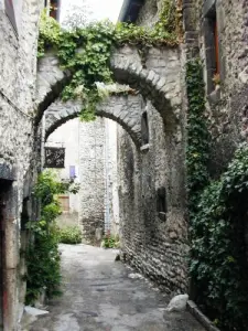 Les Viols, ruelles de Châtillon-en-Diois