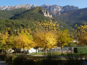 View the campsite in autumn