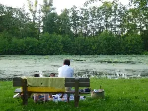 The arboretum and its pond