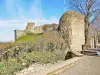 Former castle of the Dukes of Burgundy - Ruins of the watchtower (© Jean Espirat)