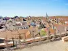 Panorama vanaf het terras van Saint-Vorles (© Jean Espirat)