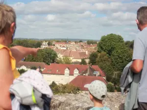 I visitatori scoprono Châtillon-sur-Seine