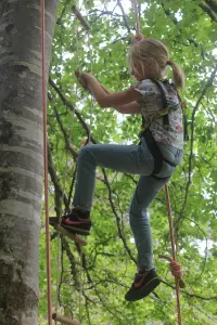 Arrampicarsi sugli alberi con la Casa della foresta (© Marie Solomon Châtillonnais OT)