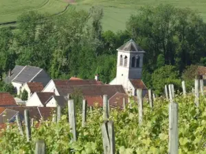El pueblo y sus viñedos Chaumont-le-Bois