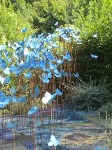 Jardin des papillons - Château de Chaumont-sur-Loire