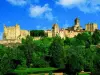 Vista panoramica della medievale