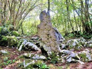 Megalith goddess named Alesia (© Jean Espirat)