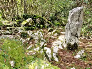 Megalith goddess Alesia viewed from the side (© Jean Espirat)