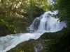 滝のAudeux - 自然遺産のChaux-lès-Passavant