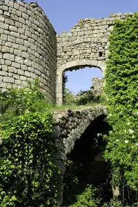 Ruinen der Burg (© Mathieu Dupont)