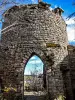 Круглая зубчатая башня северной части замка Чаренсий (© J.E)