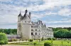 Chenonceaux - Führer für Tourismus, Urlaub & Wochenende im Indre-et-Loire