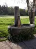 Chens-sur-Léman - Ченс у самой кромки воды в Тоуге: фонтан