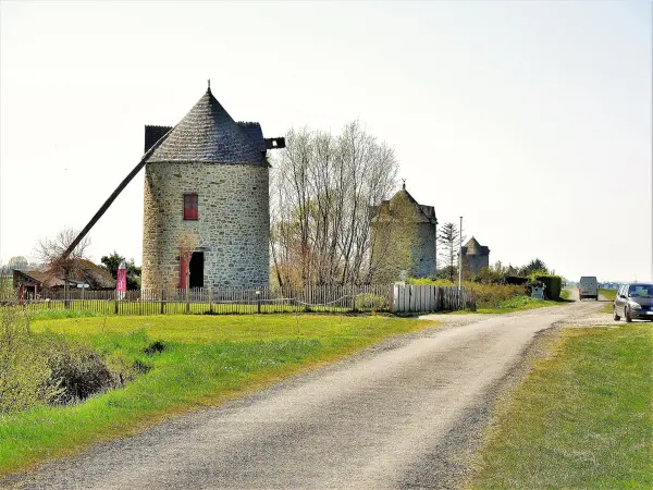 moulin à grain café – La Cuisine Magique