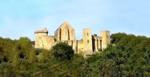 Château de la Madeleine - Chevreuse