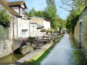 Promenade piccoli ponti - Chevreuse