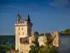 Festung Royale de Chinon - Monument in Chinon