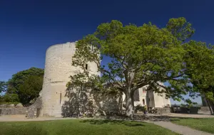 Форт Дю Кудре, королевская крепость Chinon