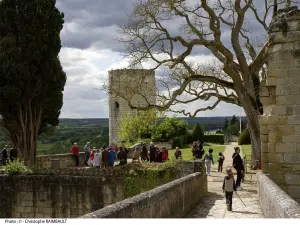 Форт Дю курд, королевская крепость Chinon