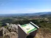 Point de vue de la Terrasse de Chiroubles - Site naturel à Chiroubles