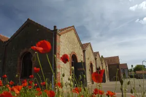 Museo Textil y de la Moda (© Etienne Lizambard)