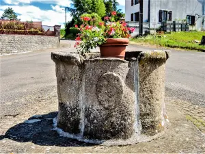 Old well, dated 1747 (© JE)