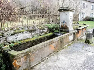 Fontaine- Lavoir im Fürstenhaus (© JE)