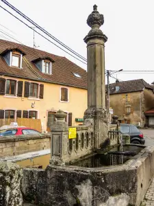 Fontaine-lavoir, sur la place centrale (© J.E)