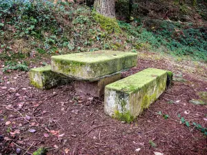 La table du statuaire (© J.E)