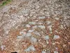 Detail of the paving of the old Roman road of Chérimont (© JE)