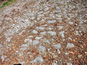 Détail du pavage de l'ancienne voie romaine du Chérimont (© J.E)