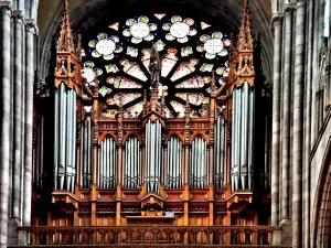 Orgel van de kathedraal (© J. E)