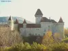 Castle of Cléron