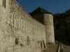 Fort of Savoie